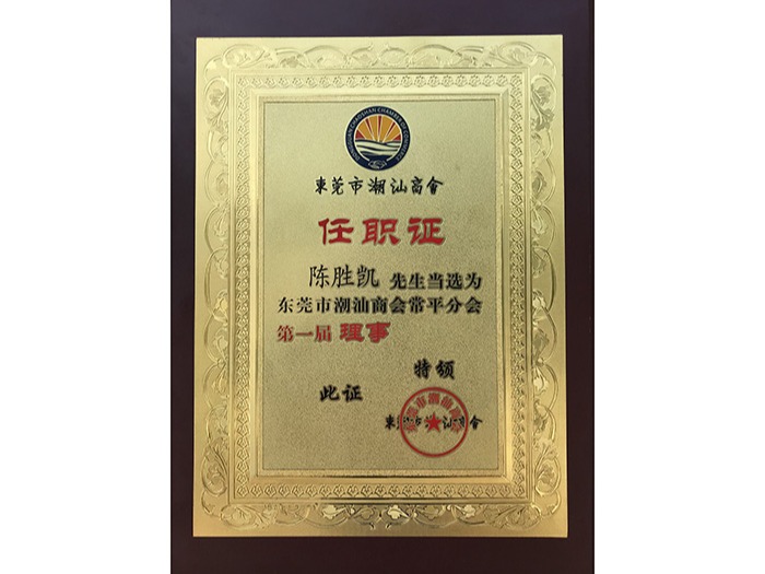 国产麻豆精品无码视频-东莞市潮汕商会