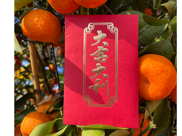 国产麻豆黄色片厂家